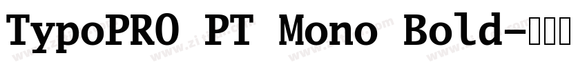 TypoPRO PT Mono Bold字体转换